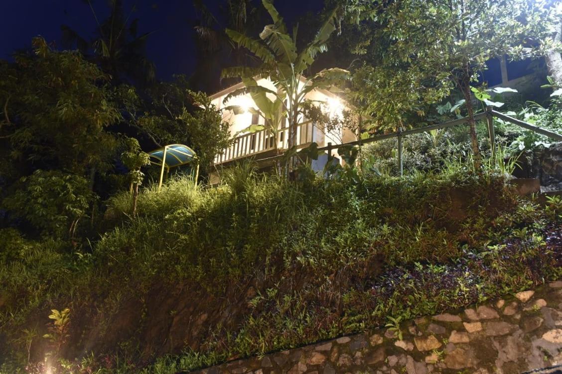 Ling & Louie'S Mountain Villa Mayong Luaran gambar
