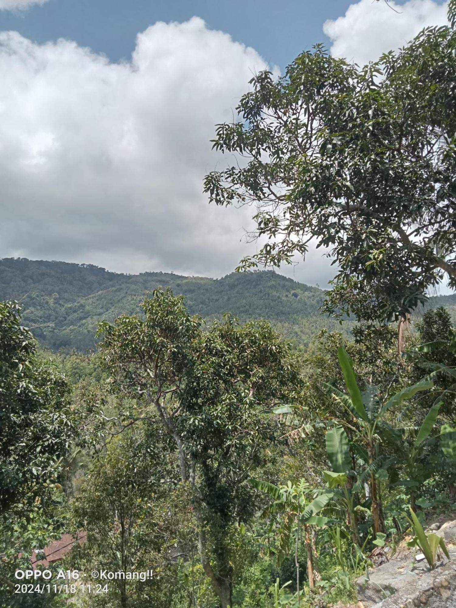 Ling & Louie'S Mountain Villa Mayong Luaran gambar