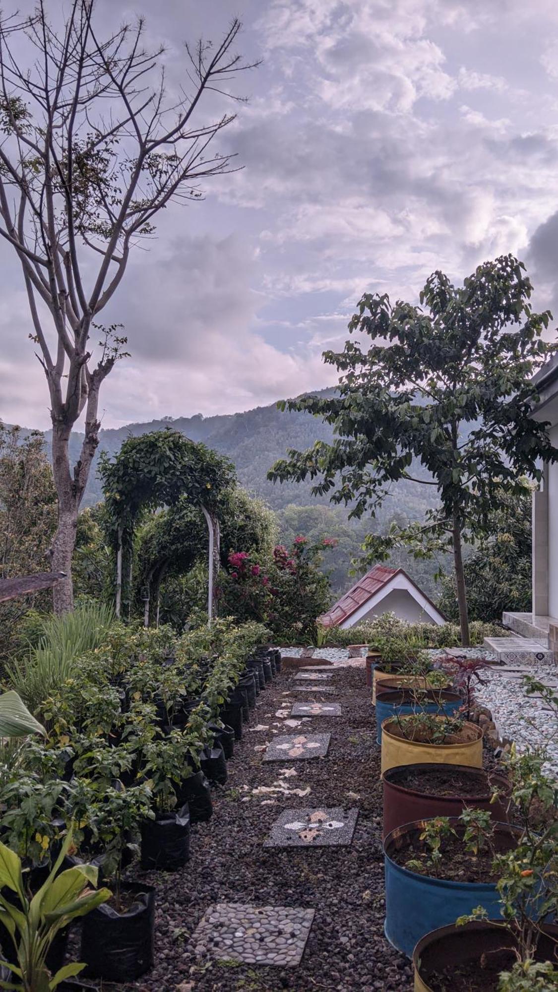 Ling & Louie'S Mountain Villa Mayong Luaran gambar